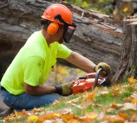 tree services Lincroft